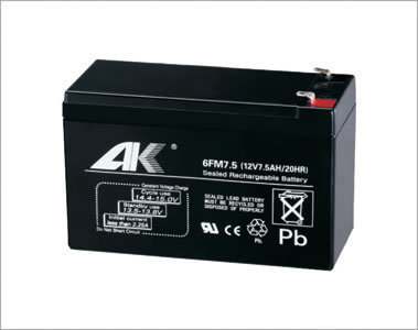 ups电池AK奥克莱牌6GFM38