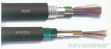 ZR-HYAT53-20*2*0.5阻燃市内通信电缆