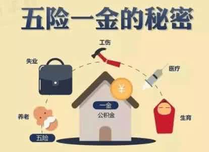 南海分公司社保代理|南海合法社保代理公司|南海社保代理优势