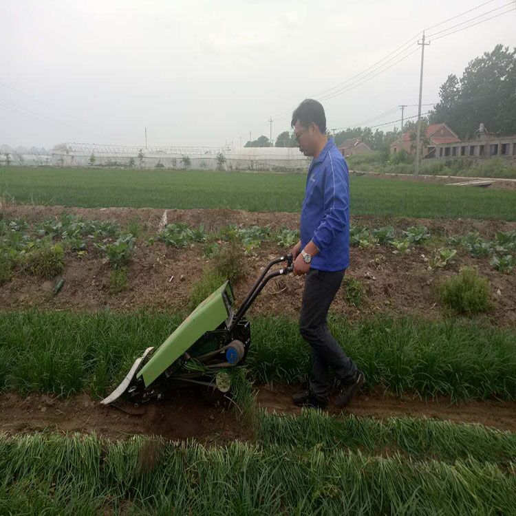 浙江夏枯草除草机 芦苇收获机 韭菜收割机