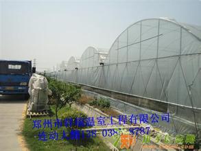 在山西建造连栋温室大棚找哪家团队好 河南祥瑞值得信赖