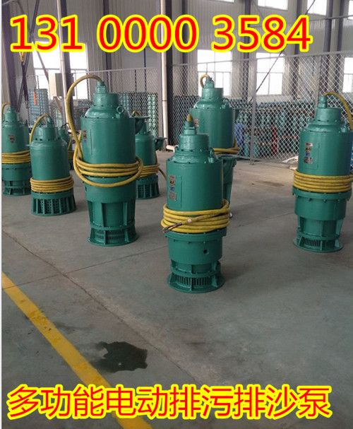 廣東廣州BQS80-150/2-75/B各種規(guī)格型號BQS系列排沙電泵