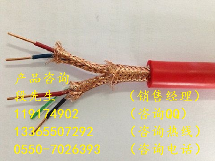 硅橡胶电缆ZA-DJGGR阻燃硅橡胶计算机电缆多少钱