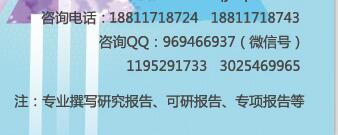 天窗市场专家预测及投资可行性研究报告2018-2025年（***新版）