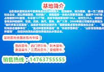 广东肉牛养殖山西省大宁县广东肉牛养殖