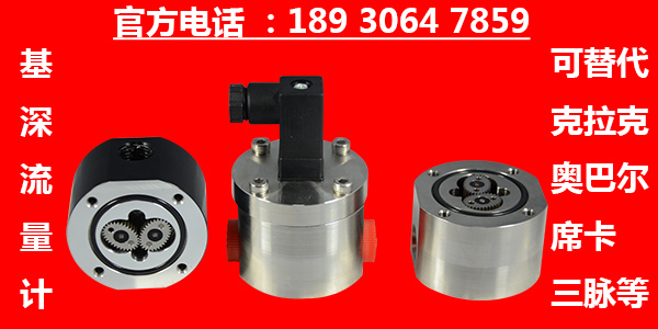 雙組份密封膠齒輪流量計(jì)