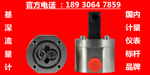320潤滑油微小流量計
