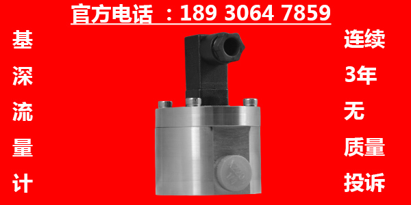 pvc固體增塑劑小流量計(jì)
