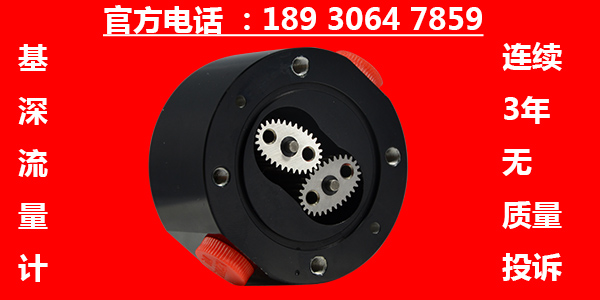 電梯齒輪油流量計廠家