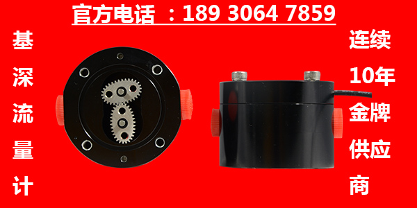 抗靜電增塑劑齒輪流量計
