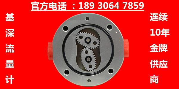 抗靜電增塑劑齒輪流量計