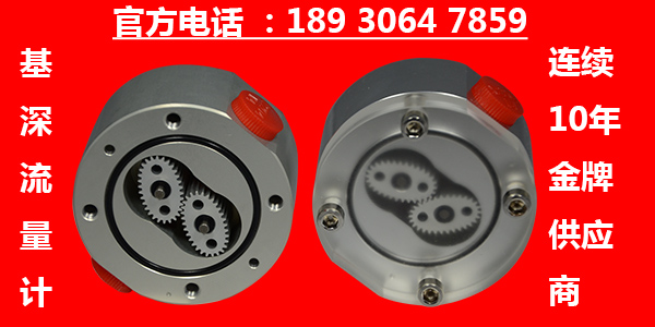 環(huán)氧樹脂e51微小流量計