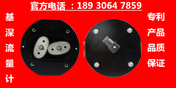 加氫變壓器油齒輪流量計(jì)