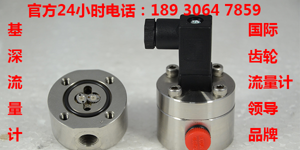 雙組份密封膠齒輪流量計(jì)