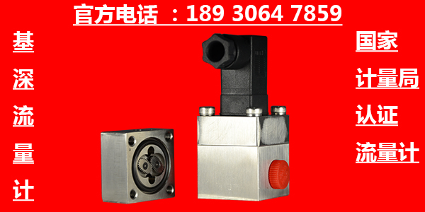 環(huán)氧樹脂軟膠流量計廠家