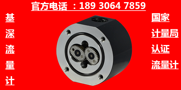 pvc固體增塑劑小流量計(jì)