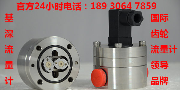 320潤滑油微小流量計