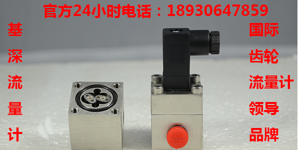 pvc固體增塑劑小流量計(jì)