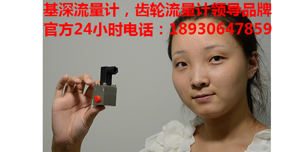 加氫變壓器油齒輪流量計(jì)