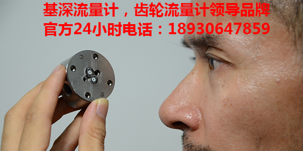 加氫變壓器油齒輪流量計(jì)