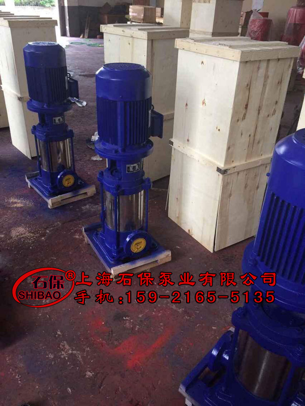 消防多級泵廠_25GDL2-12X10多級泵電機(jī)