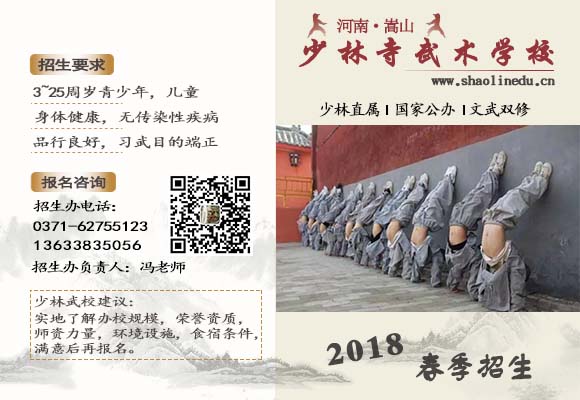 【嵩山少林寺武校分享】学好武术的四大必要