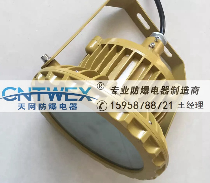 防爆BATL54-50WLED燈配2.5米護(hù)欄桿法蘭桿IICT6 IP65