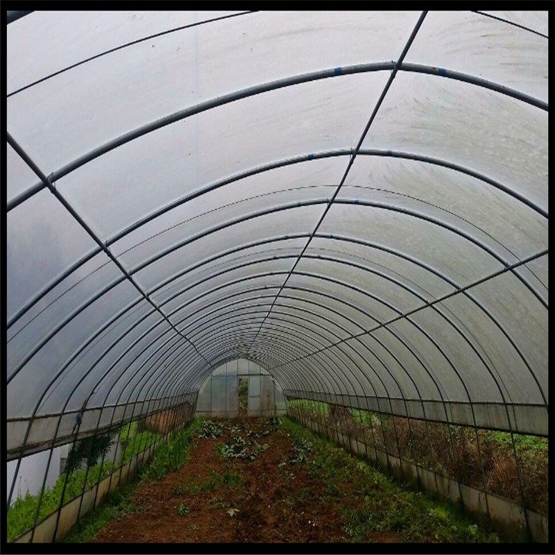 黔东南雷山县蔬菜大棚市场价格