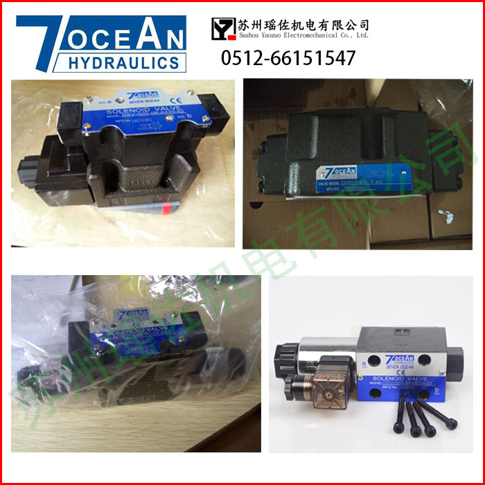 ÷(yng)DSD-G03-2N-DC24-207oceAn늴y