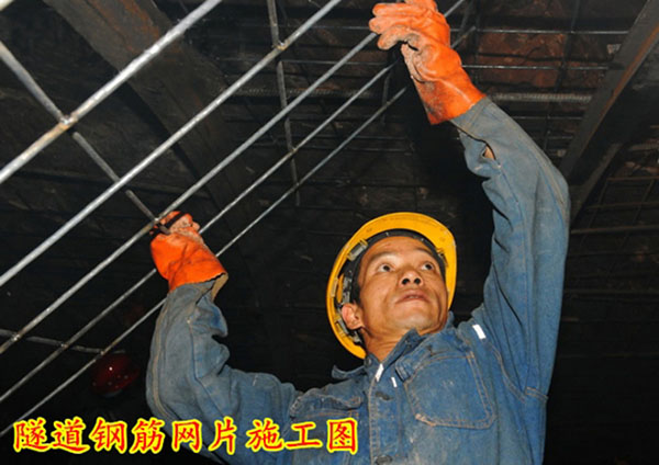 智能電動網(wǎng)焊機(jī)山東省聊城型號齊全