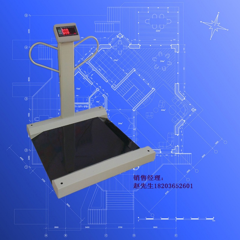 HW-60透析秤