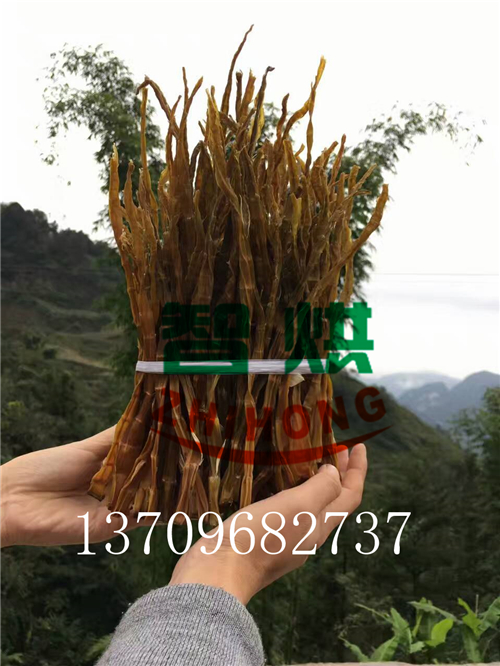 智烘节能无人值守望高温热泵竹笋烘干机冬笋烘干设备价格