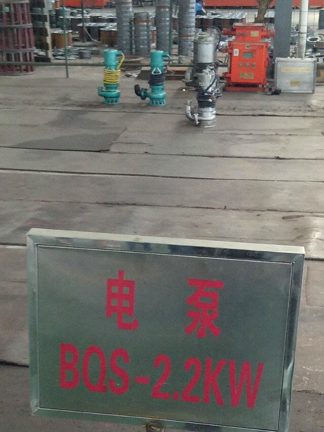 BQS20-68/2-11/NKW防爆潜水泵型号 厂家