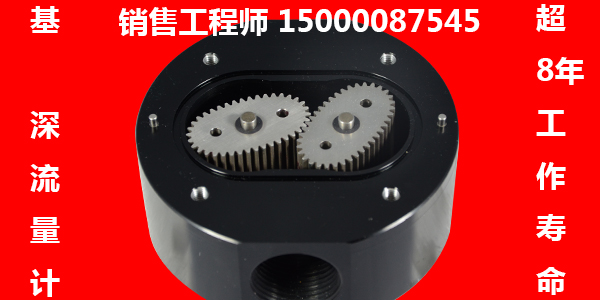 氫氧化鈉堿齒輪流量計