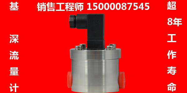 中低溫煤焦油齒輪流量計