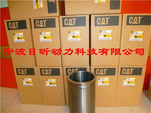 ˰CAT6J88118E4197