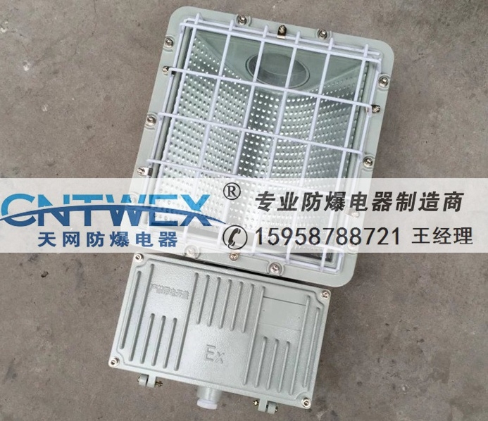 六盤水防爆燈防爆泛光燈BAT53-250W 不含整流器 帶證書