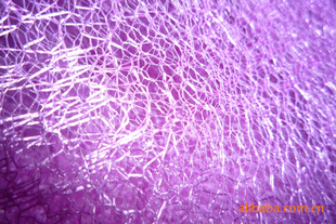 涤纶乱网网眼布