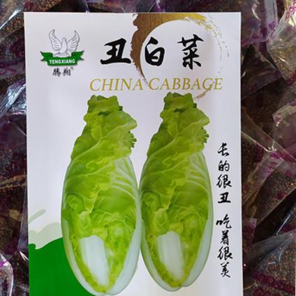 丑白菜特色蔬菜种子 口感蔬菜种子 新奇蔬菜籽叶菜种子新品种银丝白金丝白王 回味白菜籽 娃娃菜基地大面