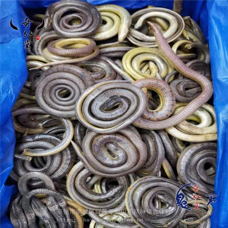 ˎߴ ߃r t ڴ س