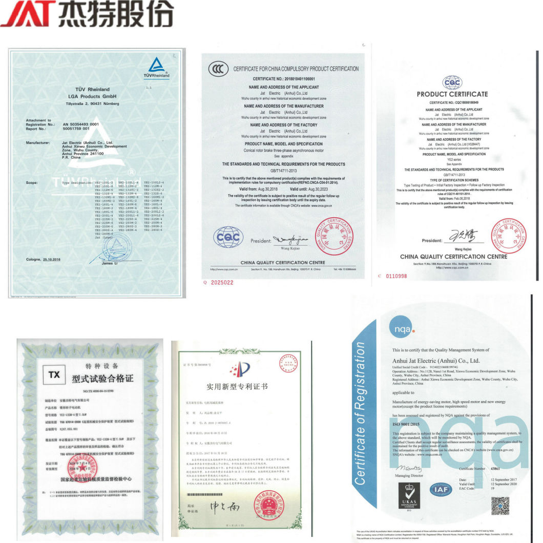 IEC Low Voltage General Performance Motors