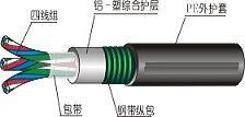 天津鐵路工程專用信號(hào)電纜PTYA23電纜報(bào)價(jià)(圖)