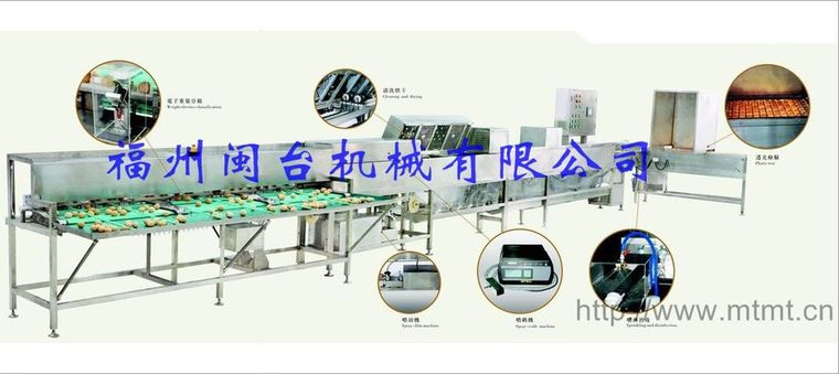 洗蛋機(jī)、清洗分級機(jī)(MT-100)