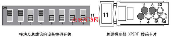 XP95/Discovery(45681-242)̵