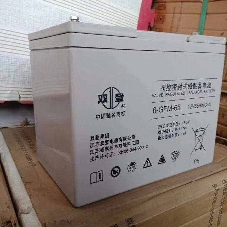 双登蓄电池6-GFM-65阀控式铅酸电池12V65AH直流屏UPS/EPS电源专用