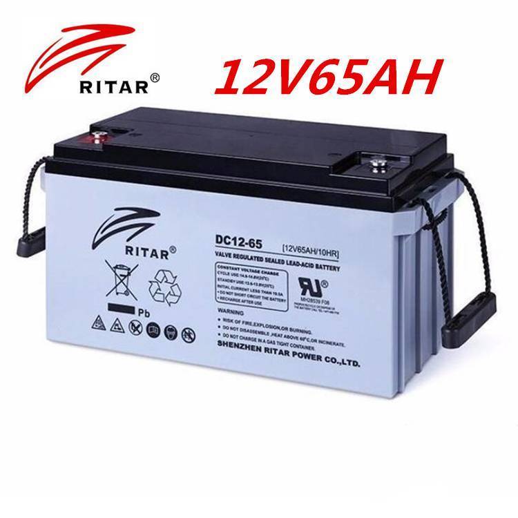 瑞达蓄电池RA12-65 12V65AH UPS电源 直流屏配套 铅酸免维护电池