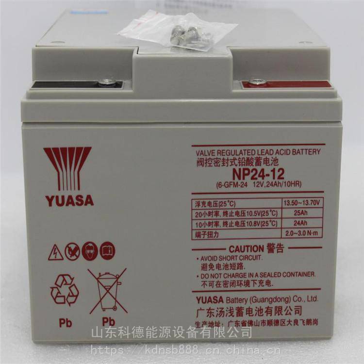 汤浅YUSA蓄电池NP20-12 12V20AH太阳能电瓶.UPS电源消防设备