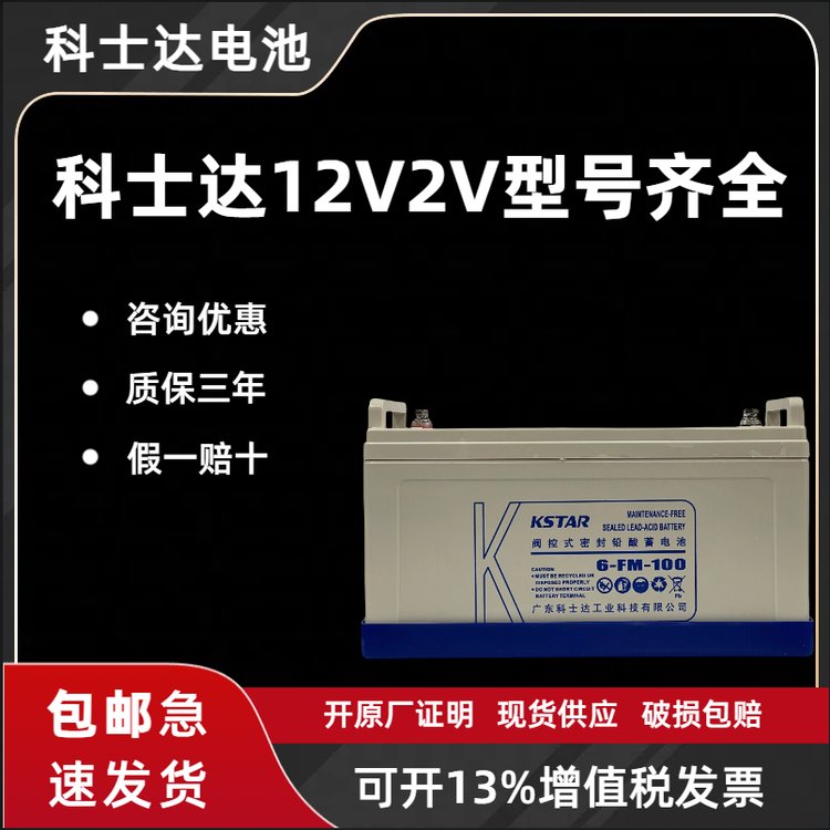 蓄電池6-FM-100ah/12V100AH基站機房醫(yī)療光伏質保三年包郵