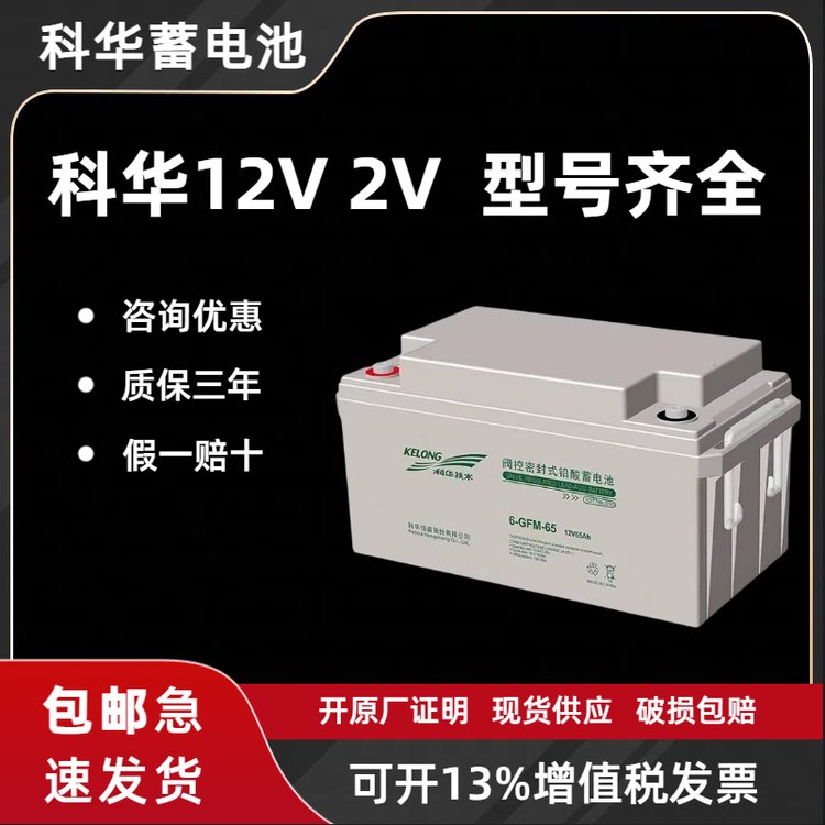 蓄電池6-GFM-200/12V200AH免維護電池UPS直流屏EPS配電箱電瓶