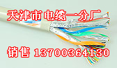 大连井筒RS485电缆厂家，大连井筒485电缆生产，大连井筒485